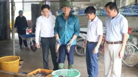 Mở lối làm giàu từ hộ nông dân đến chi hội nghề nghiệp