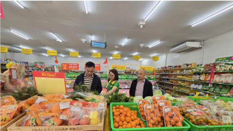 Xuất nhập khẩu Thanh Hóa khởi sắc sau Tết, duy trì đà tăng trưởng ổn định