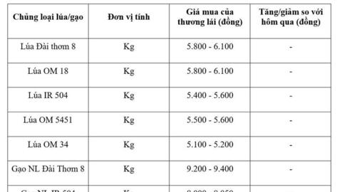 Giá lúa gạo hôm nay ngày 15/4: Thị trường ít biến động