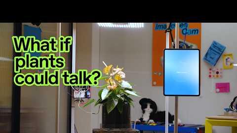 What if plants could talk?