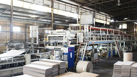 Giấy Việt Trì (GVT) chi gần 35 tỷ đồng trả cổ tức, lợi nhuận năm 2025 tăng gần 78%