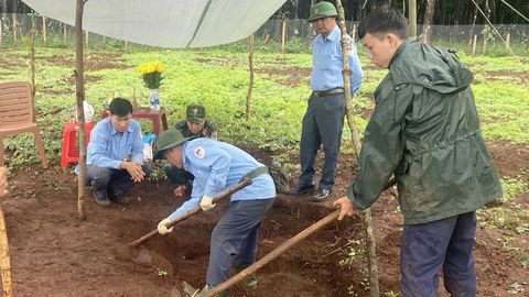 Gia Lai: Phát hiện một hài cốt liệt sỹ trong quá trình đào hố cà phê