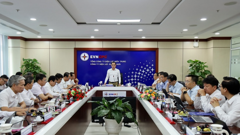 Chủ tịch Hội đồng thành viên EVNCPC làm việc với PC Quảng Ngãi