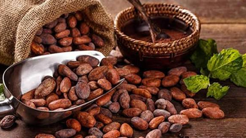 Giá ca cao bật tăng mạnh do lo ngại về sản lượng