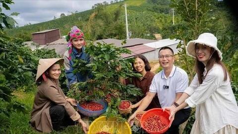 Đánh thức “mỏ vàng xanh” từ nông nghiệp: Nâng giá trị nông sản bằng du lịch