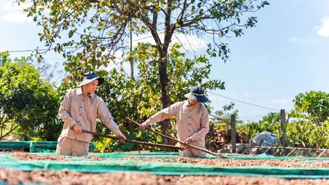 Nghịch lý tín dụng chính sách ở Gia Lai: Dư nợ tăng, nguồn vốn vẫn thiếu
