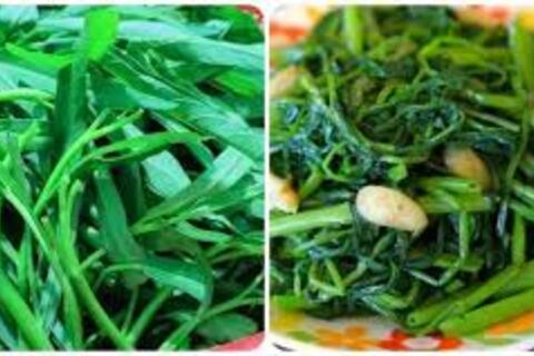 <a href="/tieu-dung" title="Tiêu dùng" rel="dofollow">Tiêu dùng</a>
