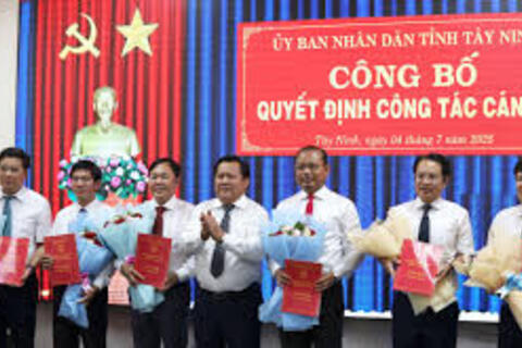 <a href="/thong-tin-247" title="Thông tin 247" rel="dofollow">Thông tin 247</a>