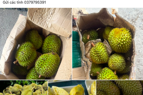 <a href="/tieu-dung" title="Tiêu dùng" rel="dofollow">Tiêu dùng</a>