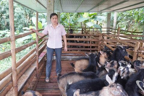 <a href="/kinh-doanh" title="Kinh doanh" rel="dofollow">Kinh doanh</a>