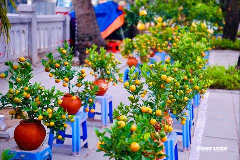 <a href="/tieu-dung" title="Tiêu dùng" rel="dofollow">Tiêu dùng</a>