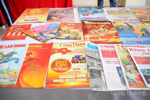 <a href="/thong-tin-247" title="Thông tin 247" rel="dofollow">Thông tin 247</a>