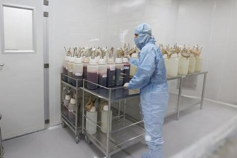 <a href="/thong-tin-247" title="Thông tin 247" rel="dofollow">Thông tin 247</a>