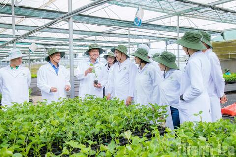 <a href="/kinh-doanh" title="Kinh doanh" rel="dofollow">Kinh doanh</a>