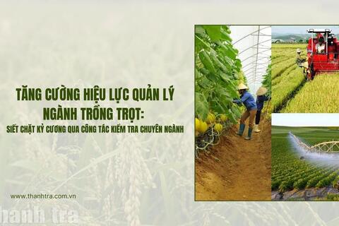 <a href="/thong-tin-247" title="Thông tin 247" rel="dofollow">Thông tin 247</a>