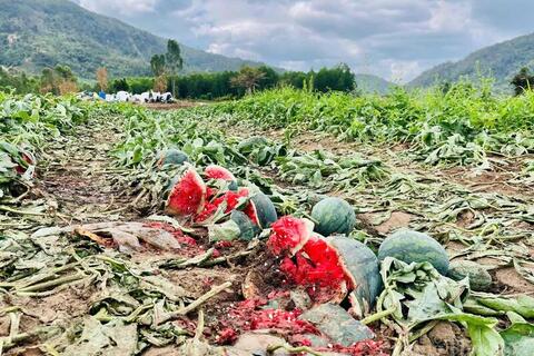 <a href="/kinh-doanh" title="Kinh doanh" rel="dofollow">Kinh doanh</a>