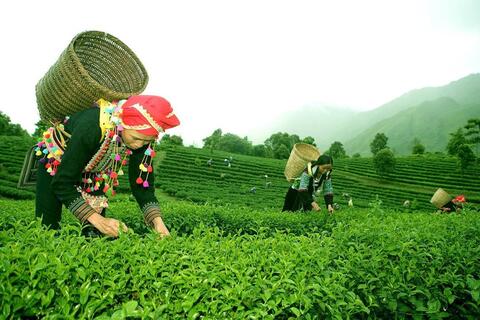 <a href="/kinh-doanh" title="Kinh doanh" rel="dofollow">Kinh doanh</a>