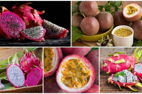 <a href="/kinh-doanh" title="Kinh doanh" rel="dofollow">Kinh doanh</a>