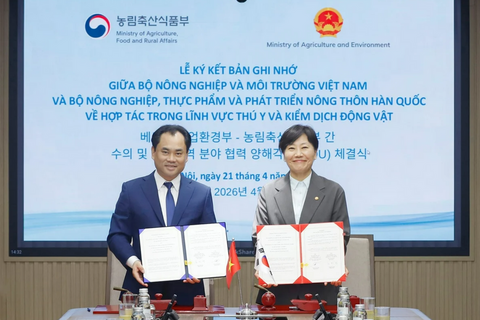 <a href="/kinh-doanh" title="Kinh doanh" rel="dofollow">Kinh doanh</a>