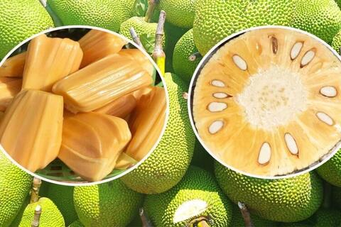 <a href="/kinh-doanh" title="Kinh doanh" rel="dofollow">Kinh doanh</a>