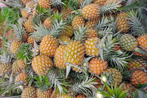 <a href="/kinh-doanh" title="Kinh doanh" rel="dofollow">Kinh doanh</a>