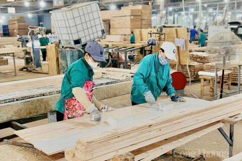 <a href="/tieu-dung" title="Tiêu dùng" rel="dofollow">Tiêu dùng</a>