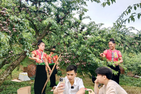 <a href="/tieu-dung" title="Tiêu dùng" rel="dofollow">Tiêu dùng</a>