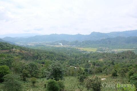 <a href="/dau-tu" title="Đầu tư" rel="dofollow">Đầu tư</a>
