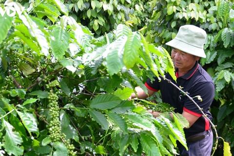 <a href="/tieu-dung" title="Tiêu dùng" rel="dofollow">Tiêu dùng</a>