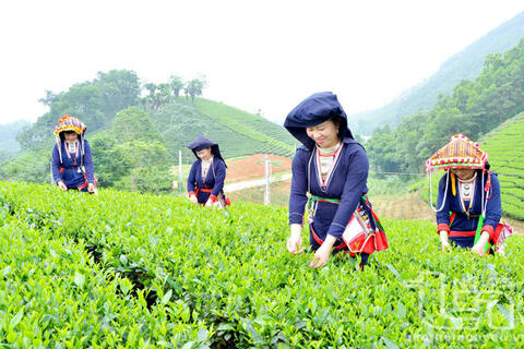 <a href="/dau-tu" title="Đầu tư" rel="dofollow">Đầu tư</a>