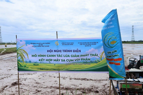 <a href="/thong-tin-247" title="Thông tin 247" rel="dofollow">Thông tin 247</a>