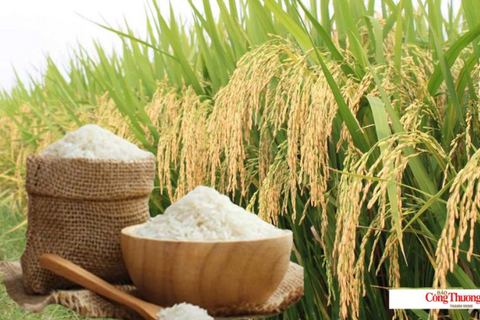 <a href="/tieu-dung" title="Tiêu dùng" rel="dofollow">Tiêu dùng</a>