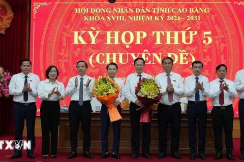 <a href="/thong-tin-247" title="Thông tin 247" rel="dofollow">Thông tin 247</a>