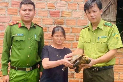 <a href="/thong-tin-247" title="Thông tin 247" rel="dofollow">Thông tin 247</a>