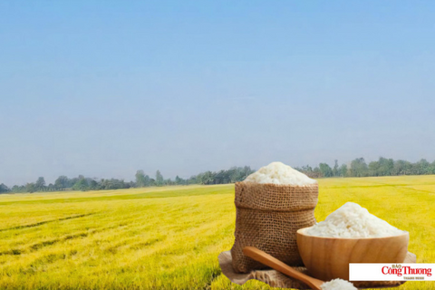 <a href="/tieu-dung" title="Tiêu dùng" rel="dofollow">Tiêu dùng</a>