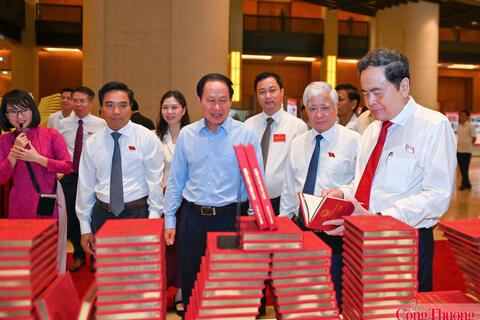 <a href="/thong-tin-247" title="Thông tin 247" rel="dofollow">Thông tin 247</a>