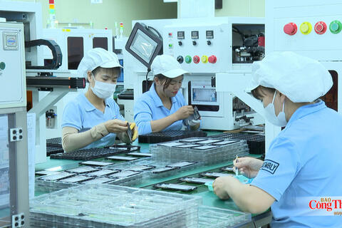 <a href="/dau-tu" title="Đầu tư" rel="dofollow">Đầu tư</a>