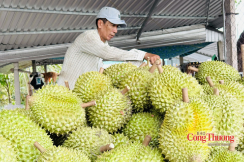 <a href="/tieu-dung" title="Tiêu dùng" rel="dofollow">Tiêu dùng</a>