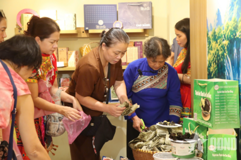 <a href="/tieu-dung" title="Tiêu dùng" rel="dofollow">Tiêu dùng</a>