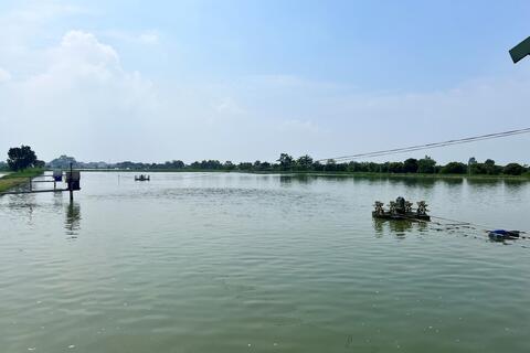 <a href="/thong-tin-247" title="Thông tin 247" rel="dofollow">Thông tin 247</a>