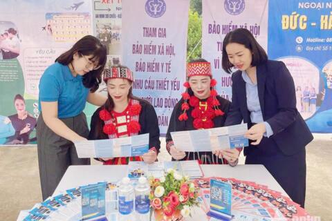 <a href="/thong-tin-247" title="Thông tin 247" rel="dofollow">Thông tin 247</a>