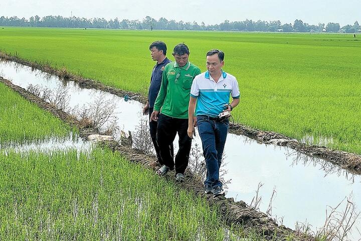Chuyện về người chuyên bắt bệnh cho đất