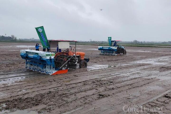 Nhân rộng mô hình lúa phát thải thấp, nâng hình ảnh hạt gạo Việt