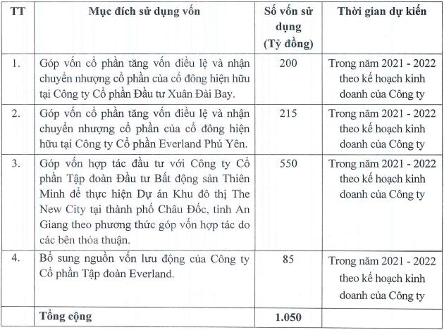 EverLand (EVG) sắp chào bán hơn 200 triệu cổ phiếu, tăng gấp đôi vốn - Ảnh 1.