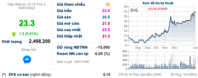 EverLand (EVG) sắp chào bán hơn 200 triệu cổ phiếu, tăng gấp đôi vốn - Ảnh 2.