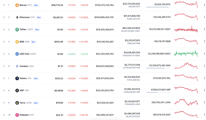 Bitcoin rớt khỏi ngưỡng 40.000 USD, sắc đỏ lan rộng khắp thị trường tiền ảo - Ảnh 2.