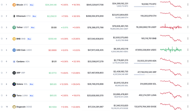 Bitcoin lại giảm sốc, lao dốc về vùng giá thấp kỷ lục trong vòng 6 tháng - Ảnh 3.