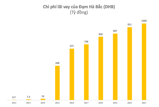 Đạm Hà Bắc (DHB): Quý 4 lãi 298 tỷ đồng – cao nhất sau nhiều quý chìm trong thua lỗ - Ảnh 2. Đạm Hà Bắc (DHB): Quý 4 lãi 298 tỷ đồng – cao nhất sau nhiều quý chìm trong thua lỗ - Ảnh 2.