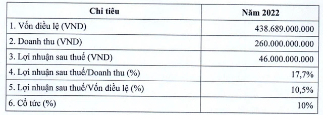 Đô Thị Nam Hà Nội (NHA) đặt kế hoạch lợi nhuận 2022 cao gấp 19 lần cùng kỳ - Ảnh 1.