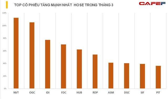 Bất chấp thị trường chung biến động, hàng loạt cổ phiếu vẫn giúp nhà đầu tư x2, x3 tài khoản chỉ sau một tháng - Ảnh 1.